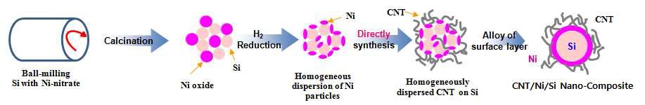 Ni-nitrate/Si 분말을 이용한 복합분말 제조 및 CNT 합성의 모식도 Ni-S