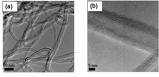 Typical HR-TEM mircographs showing (a) low and (b) high-magnification views