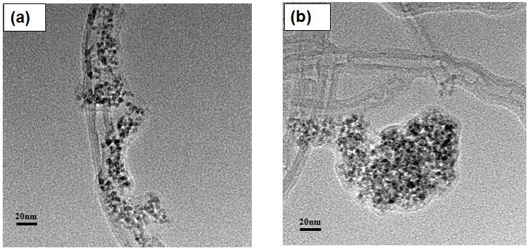 TEM images of (a) MWNT in the presence of PDDA coated with tin oxides using hetero-coagulation, and (b) MWNT produced simply by mixing MWNT with tin oxides.