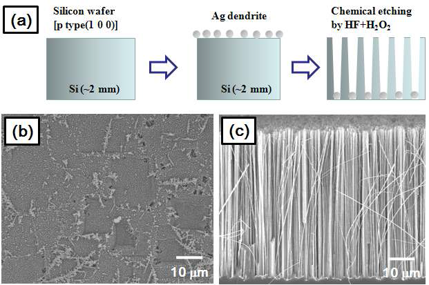 Schematic illustration of the growth process of the silicon nanowires and SEM images of silver and etched silicon prepared in 0.01 mol/L AgNO3 and 4.6 mol/L at room temperature for 30 min.
