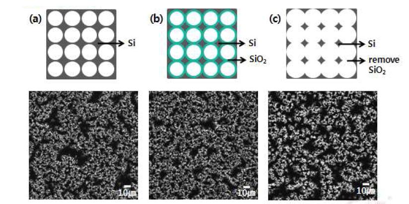 FE-SEM image and Schematic top-view of SiNW array. (a)before oxidation, (b) after oxidation, and (c) remove silicon oxide layer.