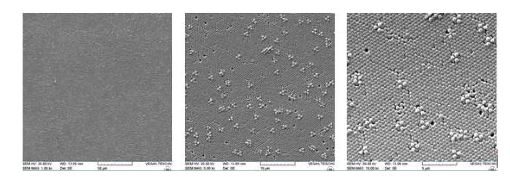 SEM images of polystyrene nanobeads coated as monolayer on the silicon wafer.