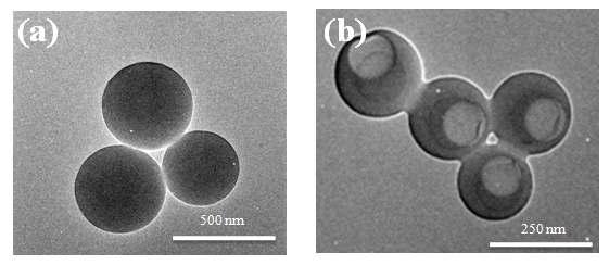 SEM micrograph of the as-synthesized organo-silica particles (a) and ultrasonic treated organo-silica (b).
