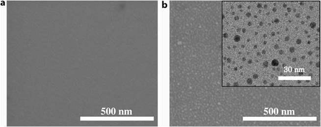 FE-SEM images of the APTES-SAM surface (a) and APTES-SAM surface activated by ca. 3nm mono-dispersed AuNPs for 1h (b). The inset in (b) shows a TEM image of the AuNPs attached to the modified substrate
