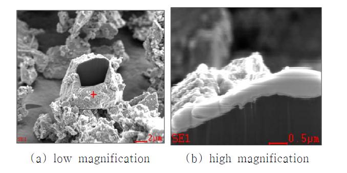 FIB images of Cu electroless deposited silicon particle with 5 min dipping time (a) low magnification, (b) high magnification