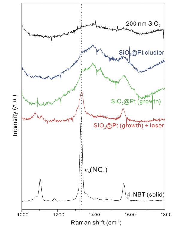 합성된 SiO2@Pt 입자들의 Raman spectra.