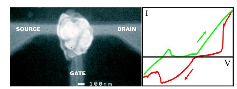 박테리오로돕신과 금 나노입자의 나노프래그먼트를 이용한 단분자 트랜지스터연구