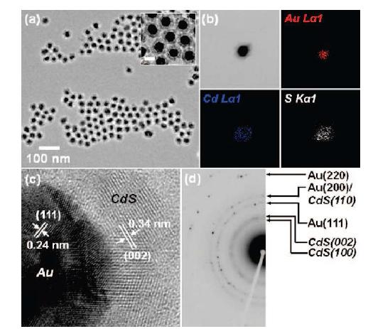 Cys/Cd로 합성한 Au@CdS 코 그림 5. 10 mM 농도의 Cys/Cd를 1 mL 어 쉘 나노입자의 TEM 이미지 (a). (a), 2 mL (b), 4 mL (c), 8 mL (d) 첨가하