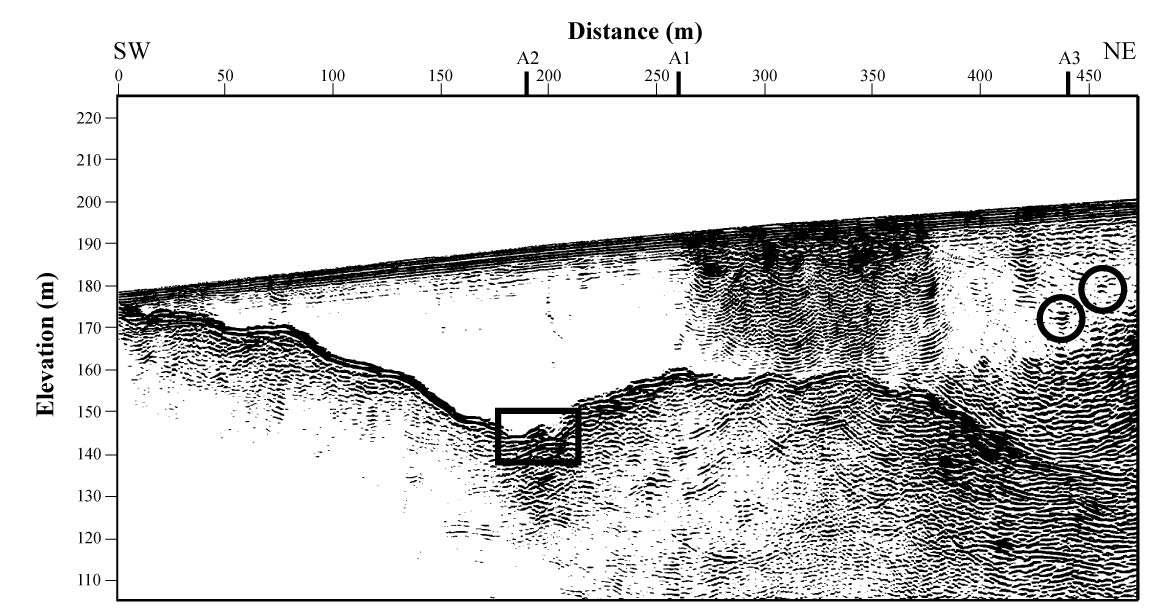 Elevation-corrected depth-migration section of Profile S1 after high-cut filtering. Compared with unmigrated data (Figure 2-5), dipping reflectors were moved to their correct positions and most diffractions were collapsed efficiently. Strong scattering noise is recorded in the ice body in the distance ranges of 260–370 m. Flat events of basal water reflections (box) and cavities (ellipse and circles) are highlighted.