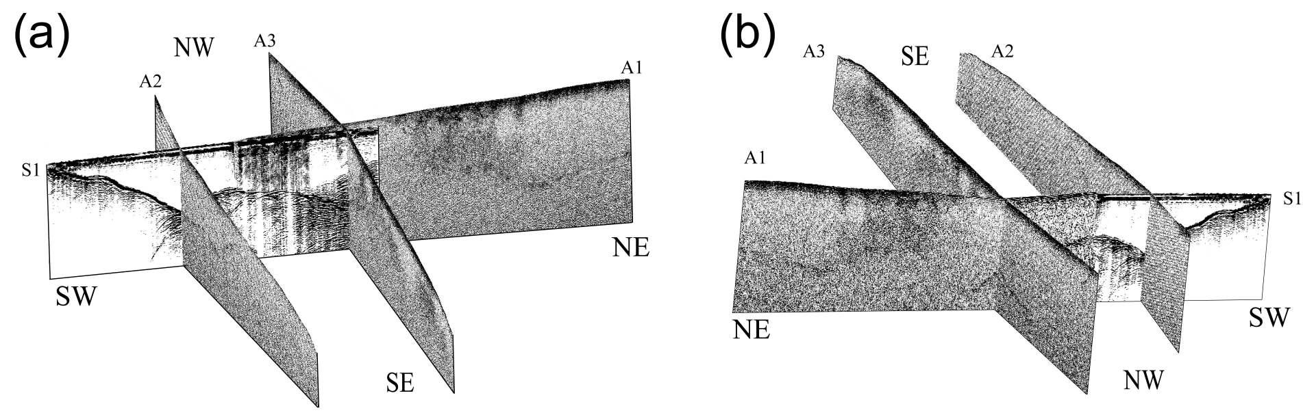 Fence diagrams of four unmigrated ground-penetrating radar profiles, A1–A3 and S1. 3D features of englacial structures and the base of glacier are shown as viewed from above and ESE or WNW of the profiles in diagrams (a) and (b), respectively.