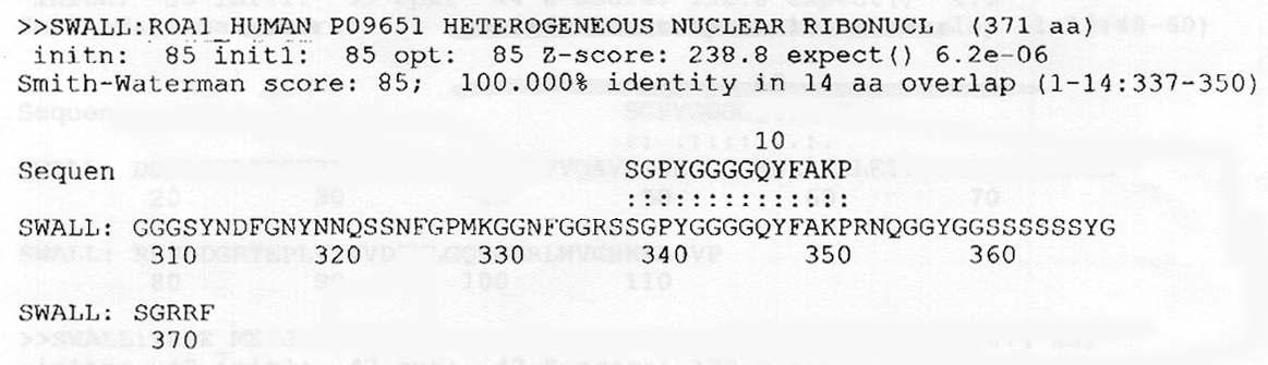 Identification hnRNPA1 as one of NC interaction cellular factors by protein sequencing analysis.