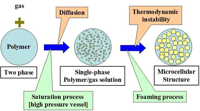 Mechanism of Microcellular Foaming Process