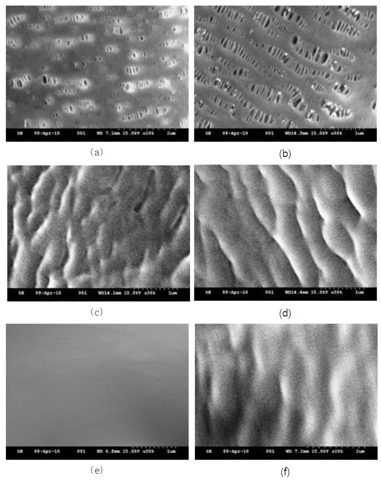 오염되지 않은 지지 매트릭스의 SEM표면 at 20k X (a) and 30k X (b); OA (c), TOA (d) and POMS-based (e) SLMs at 30k X; 와 30%(w/w) OA/POMS-based SLM (f) at 20k X.