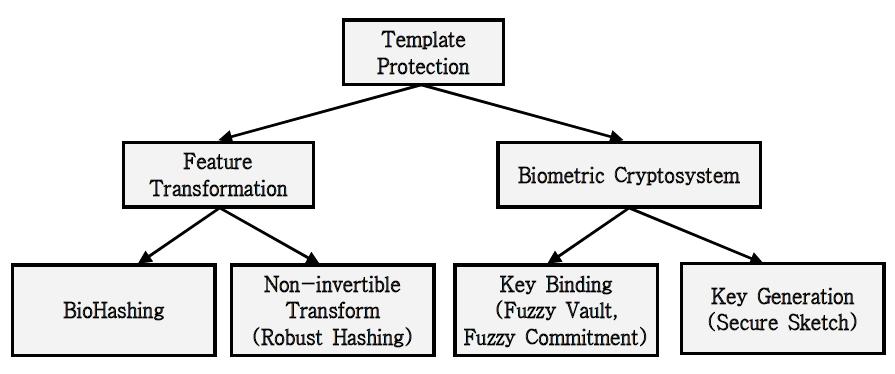 바이오인식 템플릿 보호를 위한 주요 기법