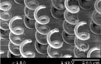 Projection micro-stereolithography를 이용하여 제작한 마이크로 코일 어레이 (Sun et al., 2005)