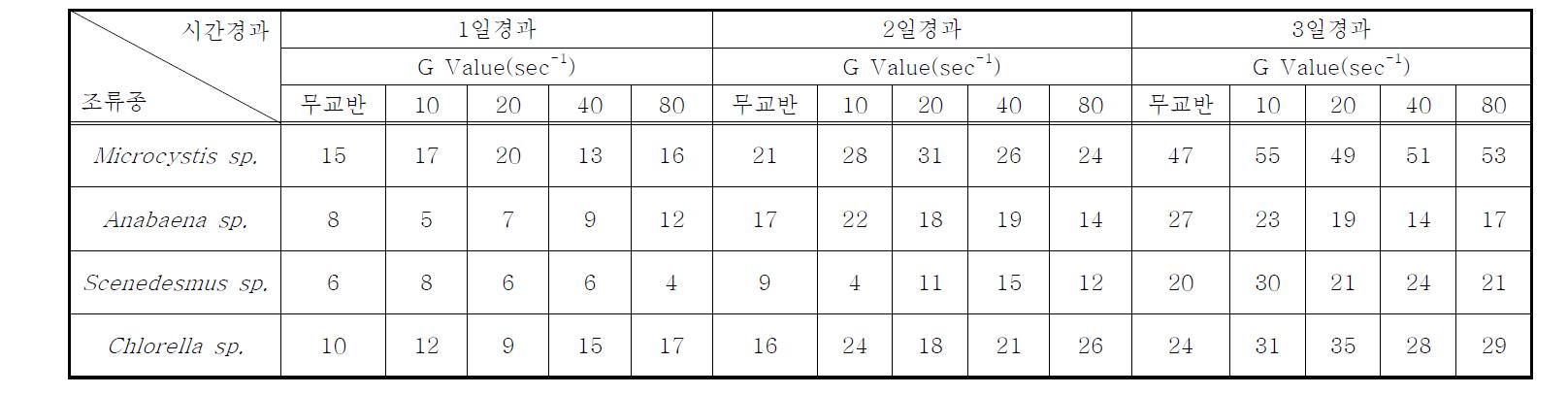 전자빔을 조사하지 않은 조류종 별 교반강도 및 시간에 따른 Chlorophyll-a 증가율