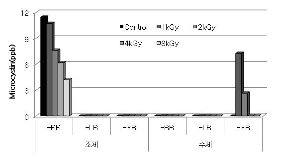 Microcystis sp.의 조체와 수체 내 Microcystin 농도(ppb)