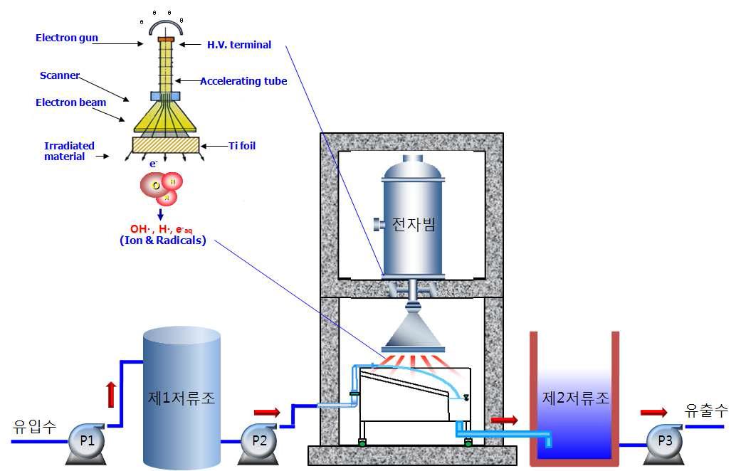연속주입식 녹조제어 전자빔시스템 모식도