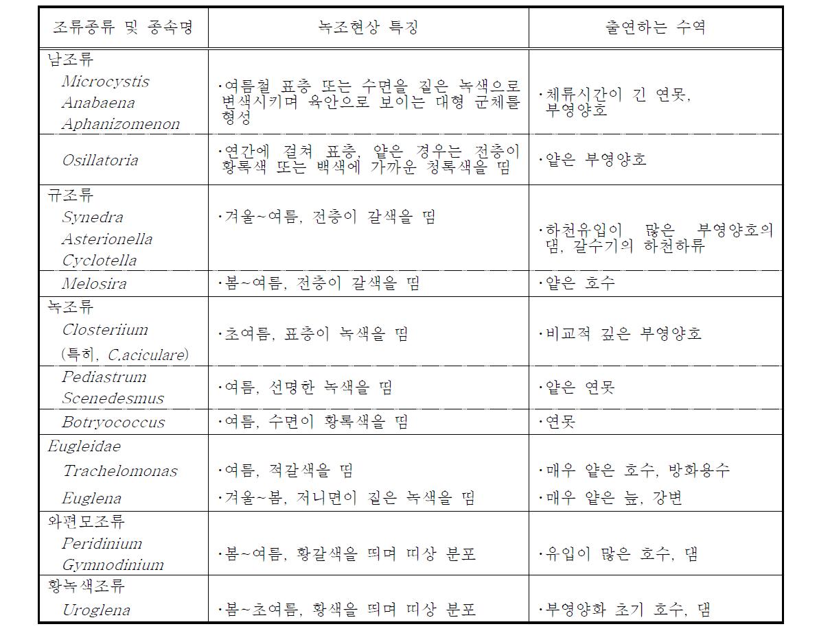 녹조현상을 일으키는 조류와 그 특징