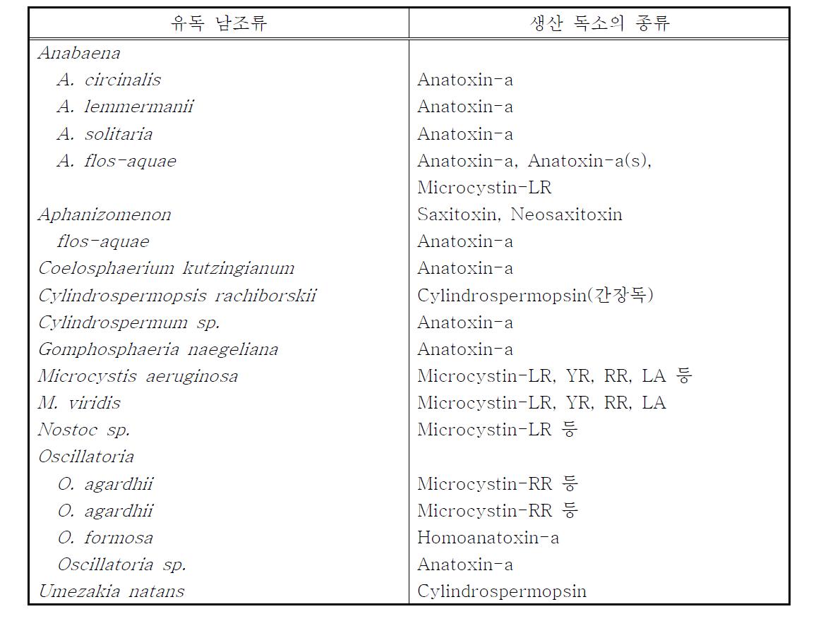 유독남조류 종과 독소