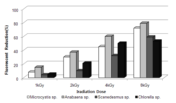 전자빔 조사선량 별 조류의 Fluorescent 감소율