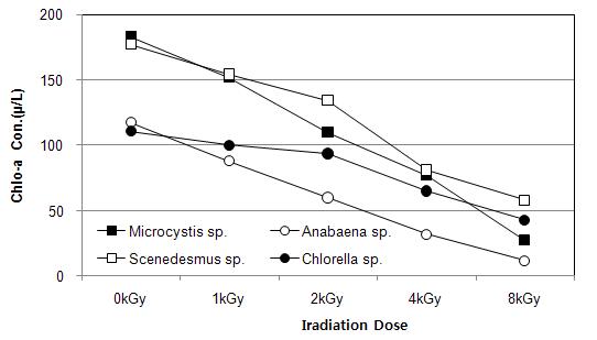 전자빔조사 선량별 Chlorophyll-a 변화