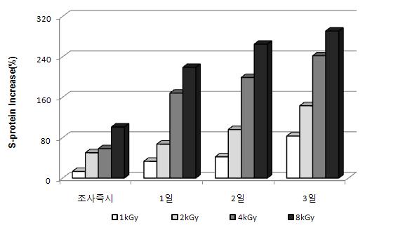 전자빔조사 후 무교반 조건에서 시간경과에 따른 S-protein 증가율 (Chlorella sp.)