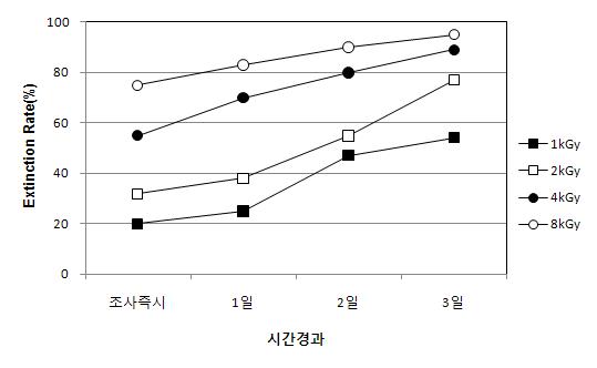 전자빔조사 후 무교반 조건에서 시간경과에 따른 사멸율 (Microcystis sp.)