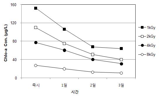 전자빔조사 후 무교반 조건에서 시간경과에 따른 Chlorophyll-a 농도변화(Microcystis sp.)