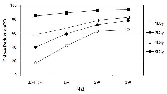 전자빔조사 후 무교반 조건에서 시간경과에 따른 Chlorophyll-a 제거율 (Microcystis sp.)