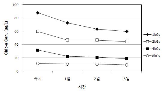 전자빔조사 후 무교반 조건에서 시간경과에 따른 Chlorophyll-a 농도변화 (Anabaena sp.)