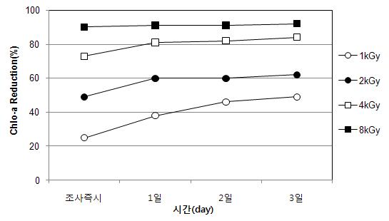 전자빔조사 후 무교반 조건에서 시간경과에 따른 Chlorophyll-a 제거율 (Anabaena sp.)