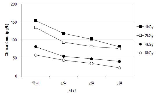 전자빔조사 후 무교반 조건에서 시간경과에 따른 Chlorophyll-a 농도변화 (Scenedesmus sp.)