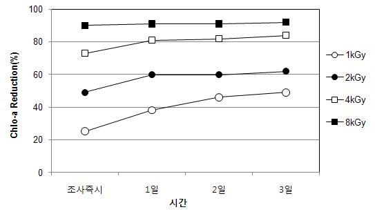 전자빔조사 후 무교반 조건에서 시간경과에 따른 Chlorophyll-a 제거율 (Scenedesmus sp.)