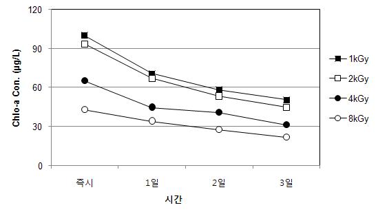 전자빔조사 후 무교반 조건에서 시간경과에 따른 Chlorophyll-a 농도변화(Chlorella sp.)