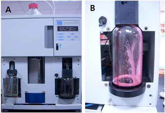 A: Accelerated solvent extractor, B: Subcritical hot water extraction process of mulberry fruit anthocyanin.