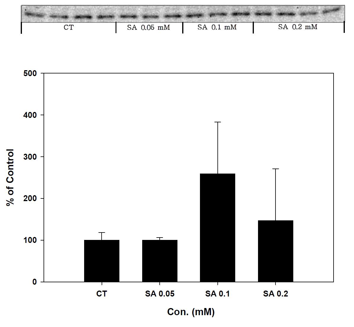 Expression of GST-alpha in stearic acid treated SK-hep-1 cell