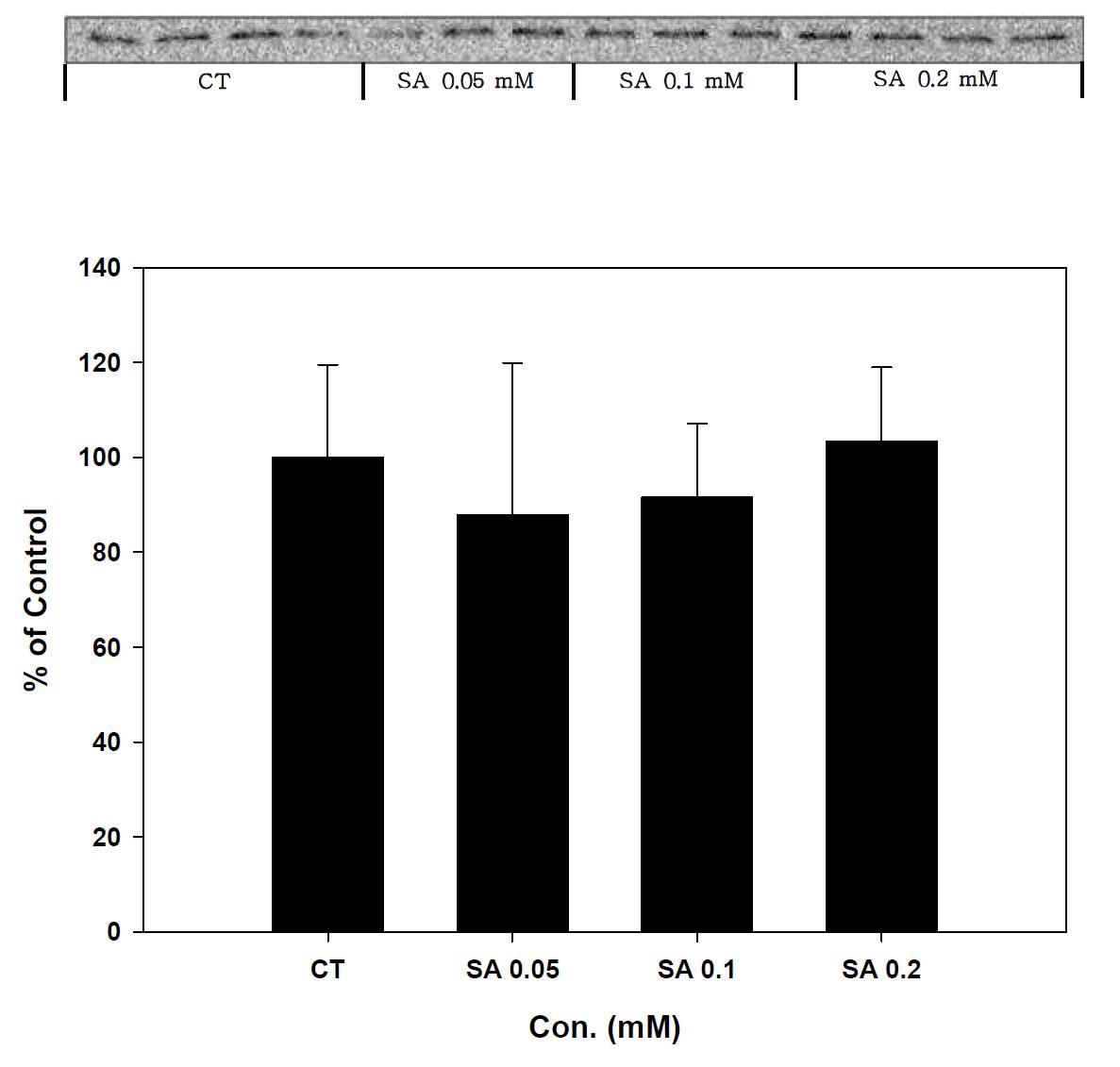 Expression of GST-alpha in stearic acid treated SK-hep-1 cell