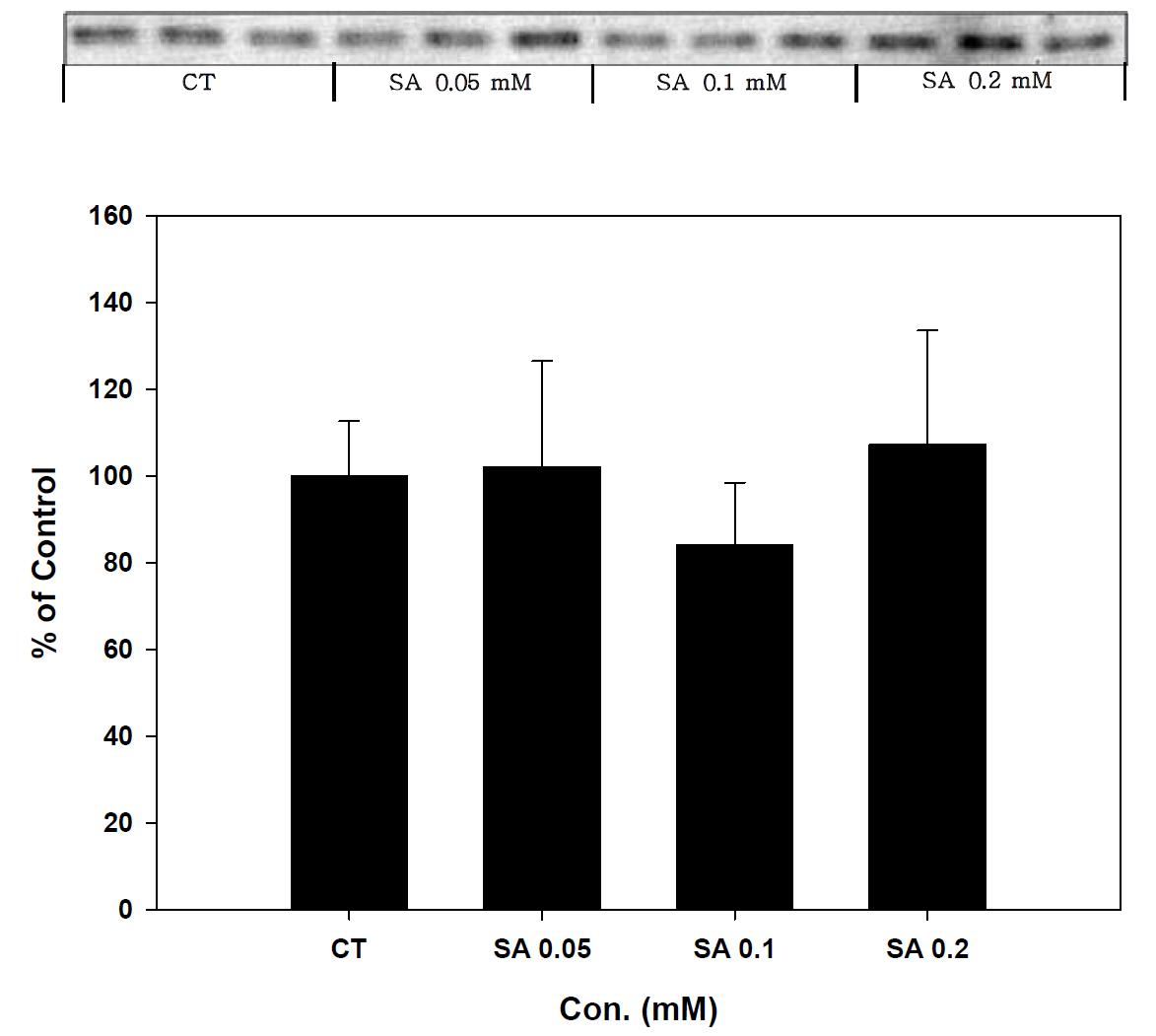 Expression of GPX-1 in stearic acid treated SK-hep-1 cell