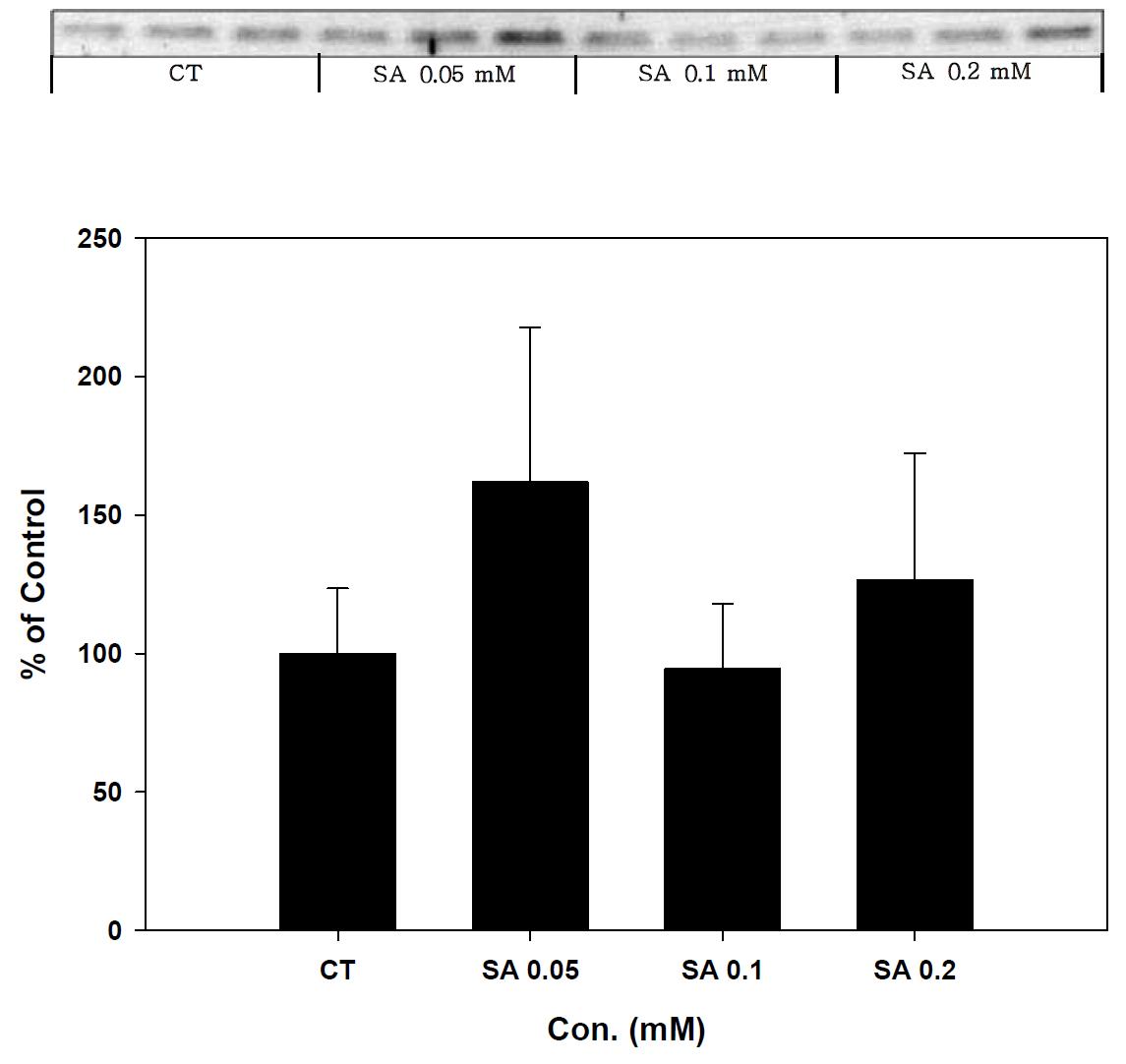 Expression of GPX-4 in stearic acid treated SK-hep-1 cell