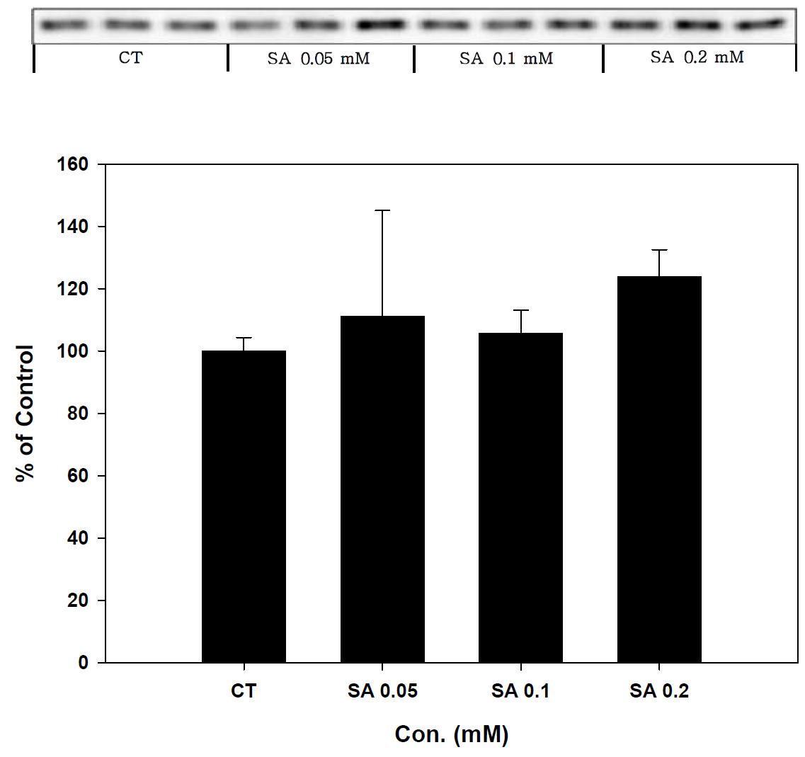 Expression of SOD-1 in stearic acid treated SK-hep-1 cell