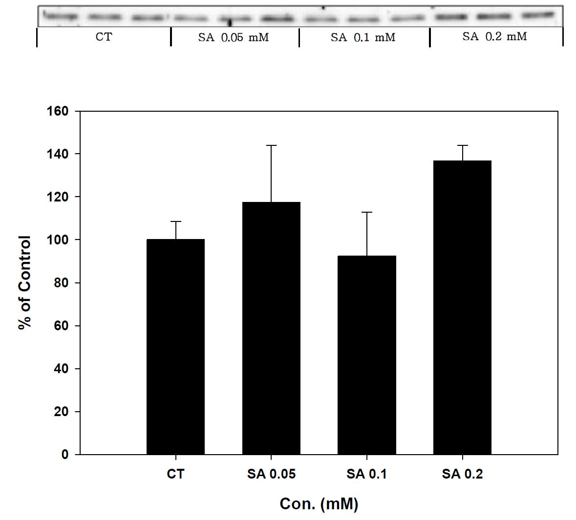 Expression of SOD-2 in stearic acid treated SK-hep-1 cell