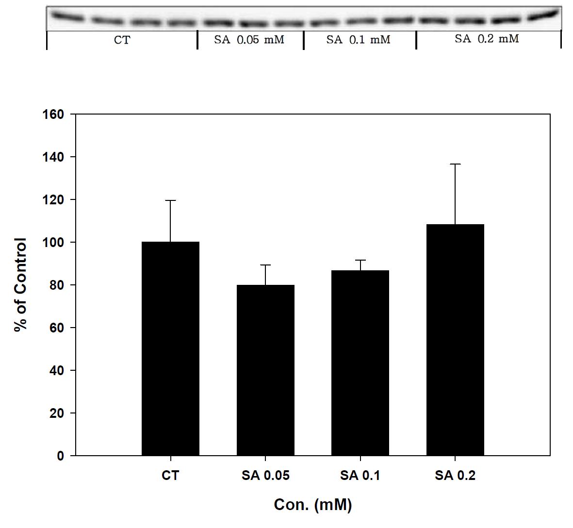 Expression of Prx-1 in stearic acid treated SK-hep-1 cell