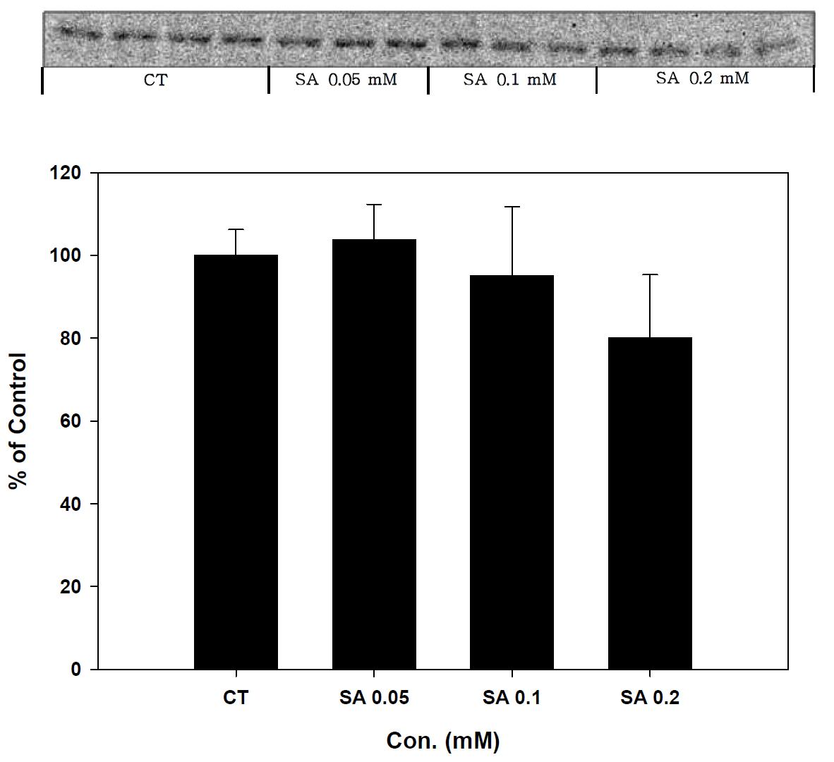 Expression of JNK-1 in stearic acid treated SK-hep-1 cell