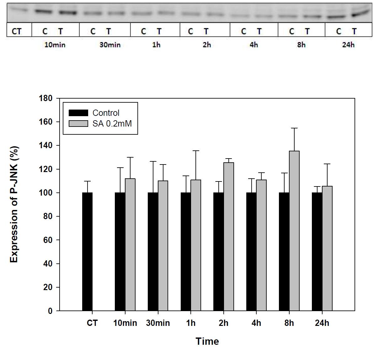 Expression of P-JNK-1 in stearic acid treated SK-hep-1 cell