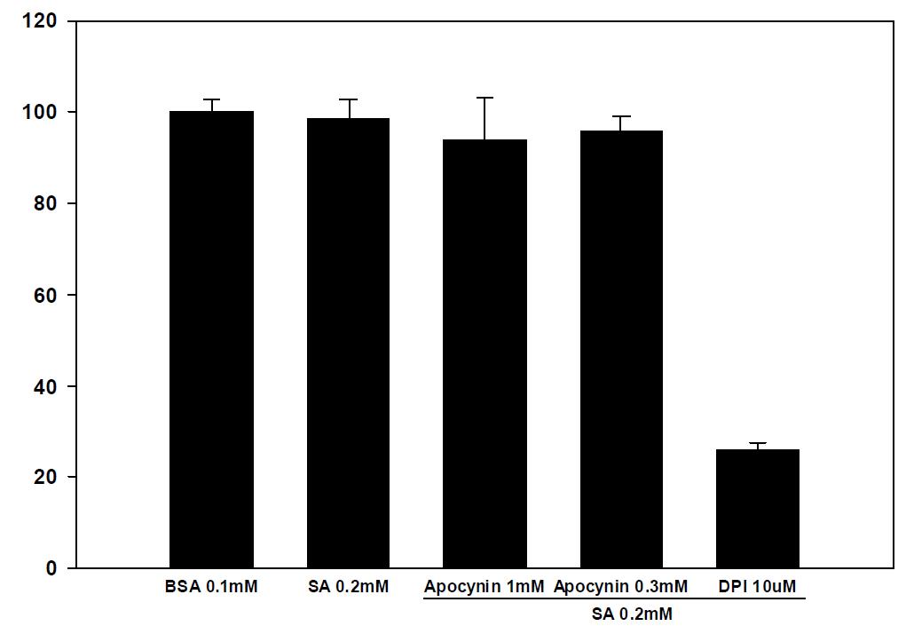 Toxicity of apocynin and DPI in SK-hep-1 cells