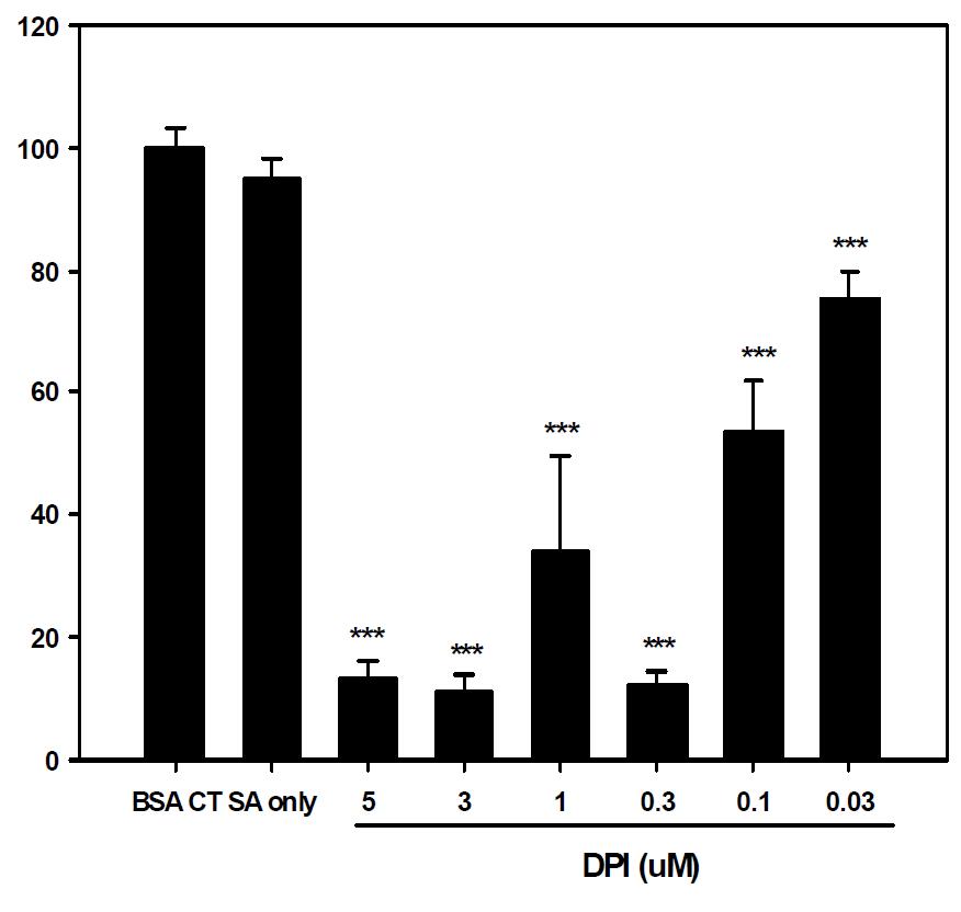 Toxicity of DPI in SK-hep-1 cells