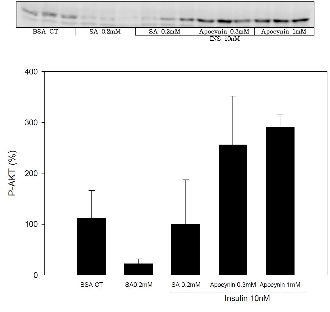 Insulin resistance restore effect of apocynin in SK-hep-1 cell