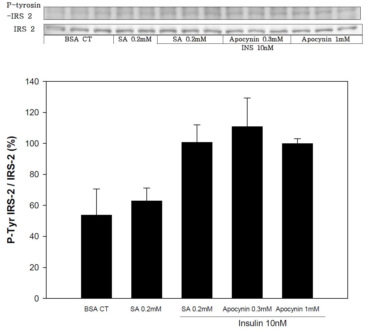 Expression of P-Tyr IRS2/IRS2 in SK-hep-1 cell