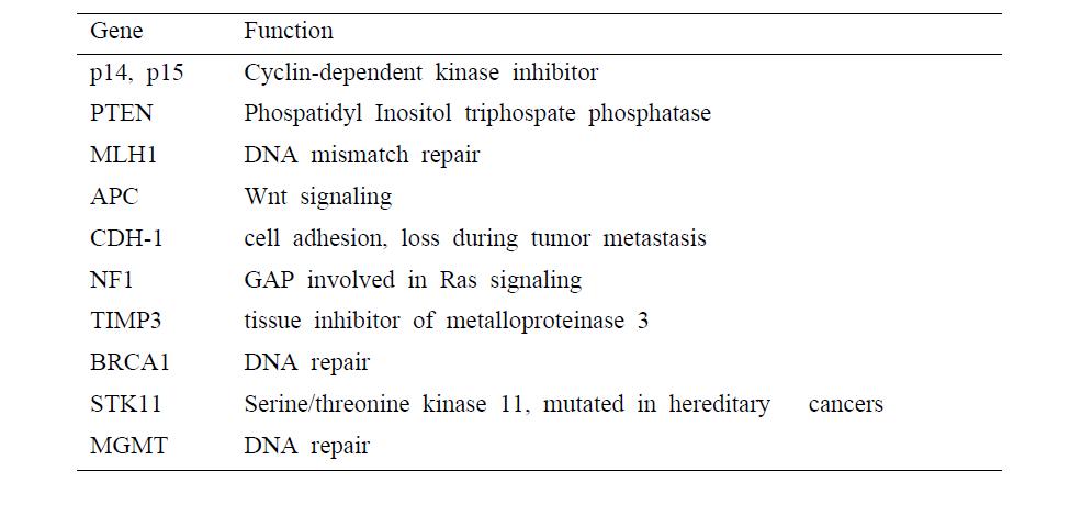 유전자의 hypermethylation이 암형성과 연관되는 예들을 보여준다 (Krauss, 2008).